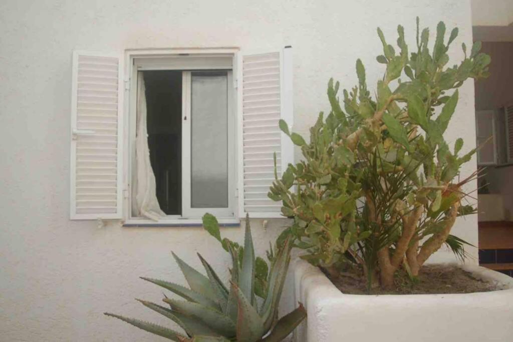 Apartamento A 2 Minutos Andando A La Playa. La Isleta del Moro Buitenkant foto